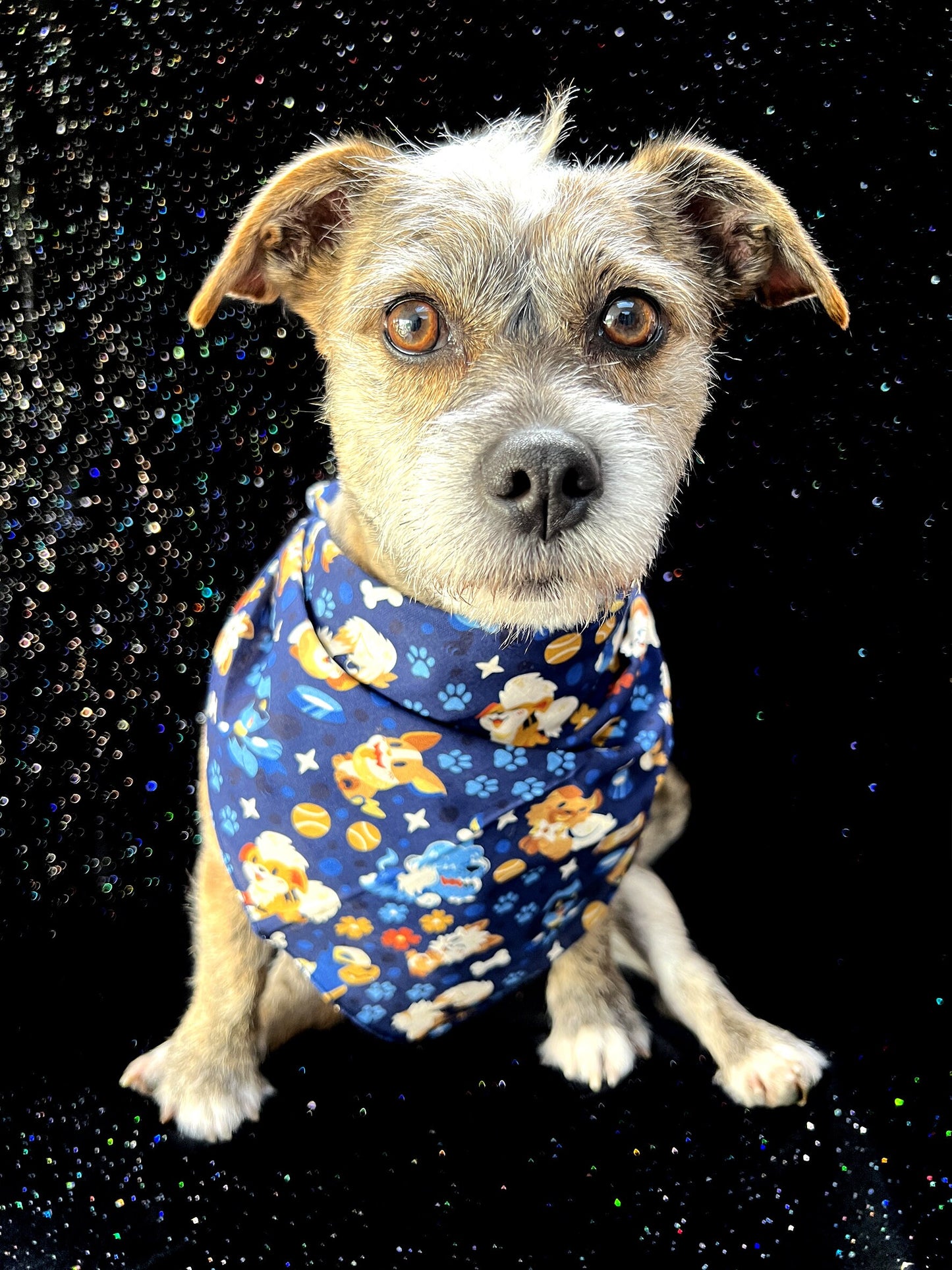 Psyduck Pool Party Bandana