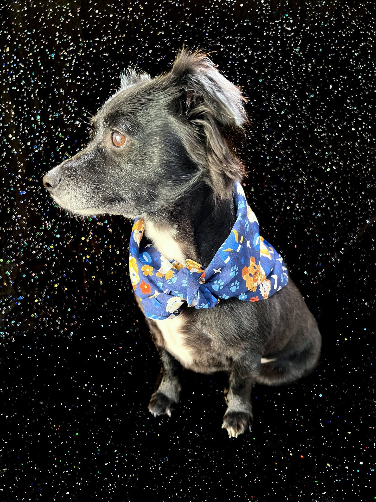 Día De Los Muertos Bandana