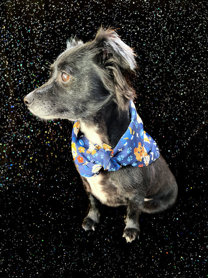 Lesbian Pride Bandana