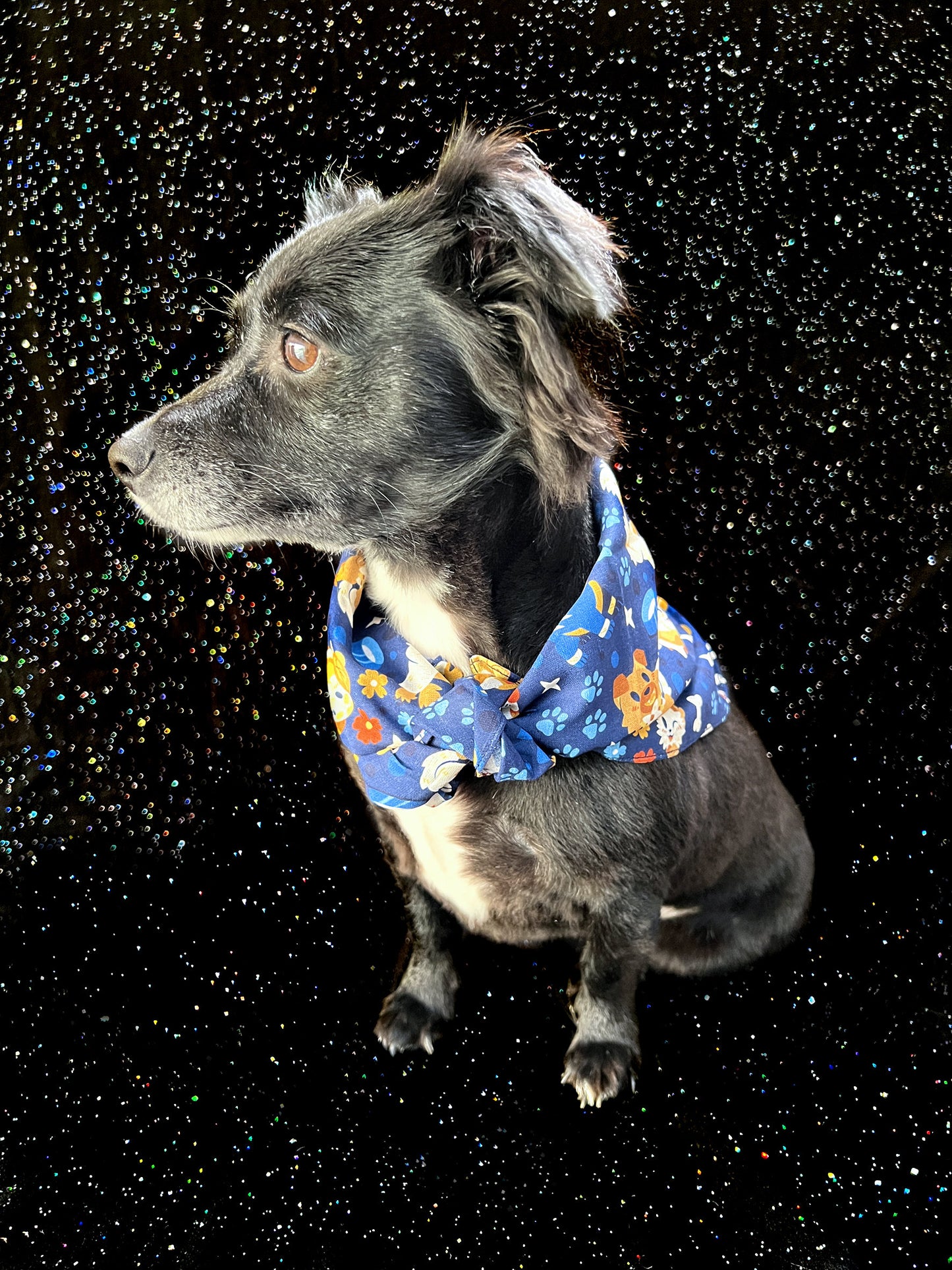 Dog Pokemon Bandana