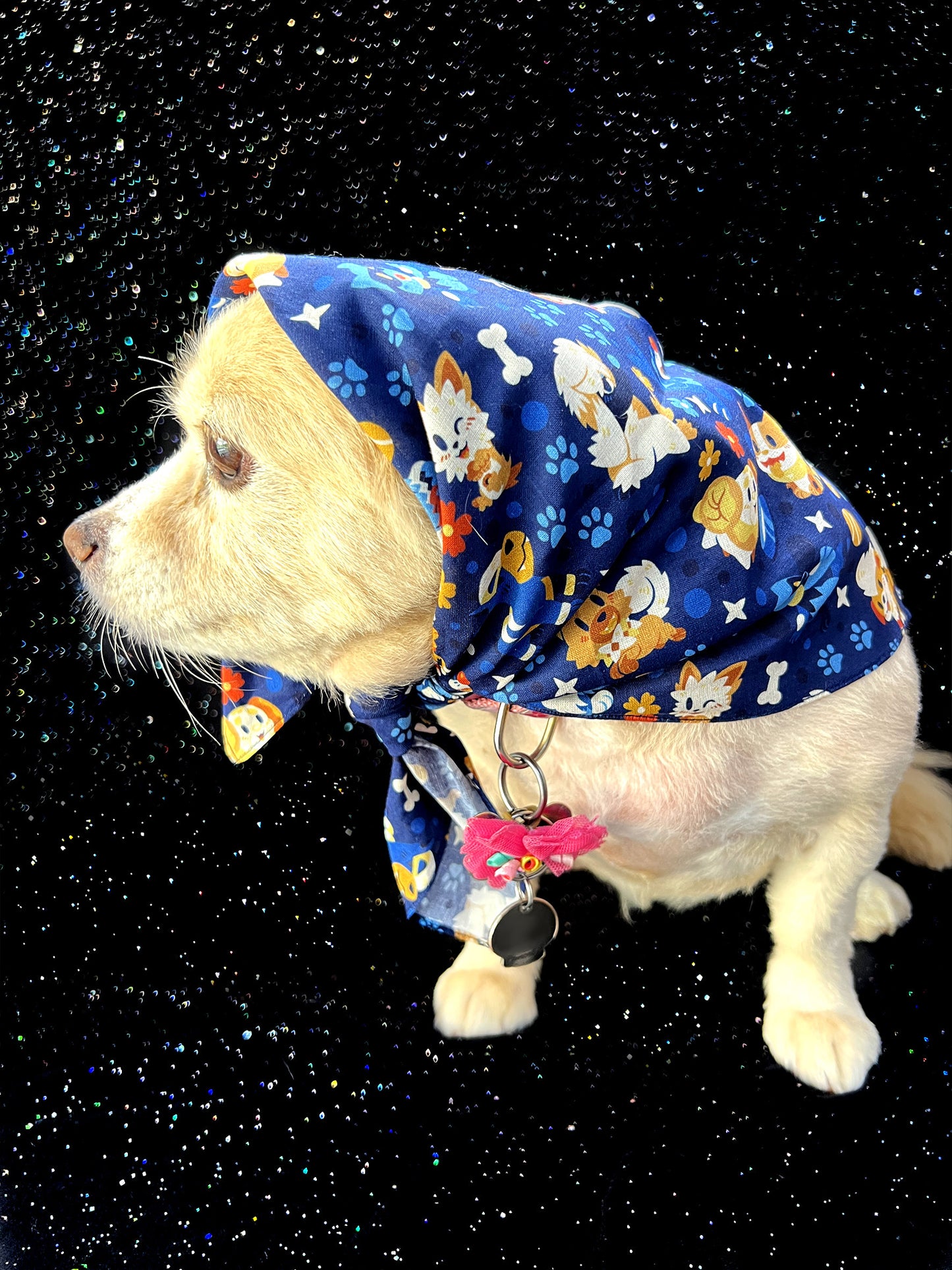Slowpoke Vibes Bandana