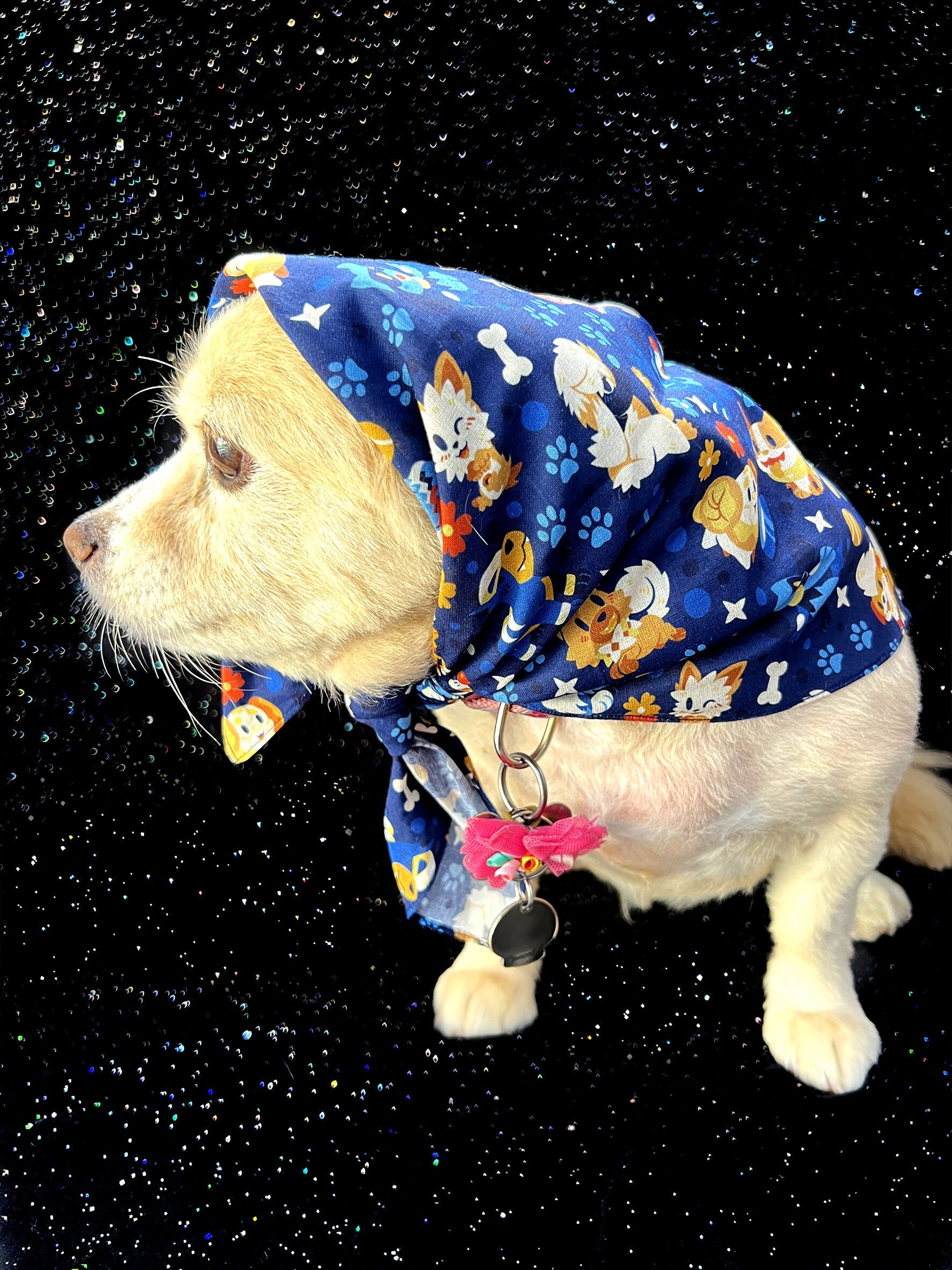 Pikmin Garden Bandana – Star⭑Salts
