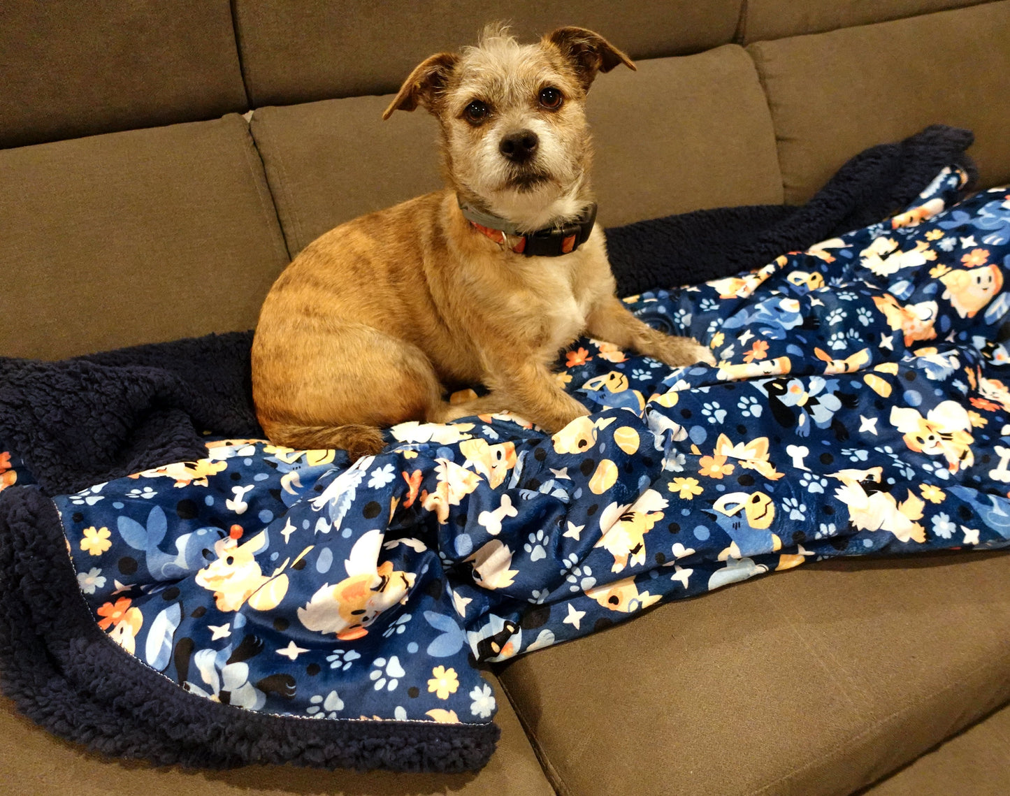Security Breach Blanket